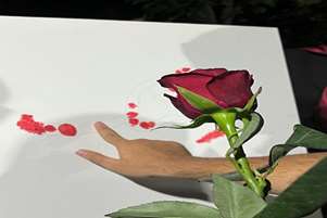 از نگاه دوربین /باغ یاس قاب لبخندها و گفتگوها