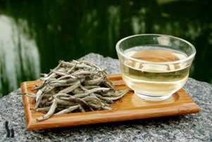 «چای سفید»، نوشیدنی شفابخش با مزاج گرم، راهکاری برای تعادل بدن
