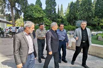 بازدید