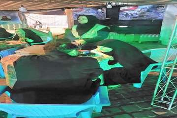 IMG_20261015_011442