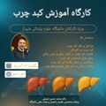 برگزاری کارگاه  آموزشی کبد چرب ویژه کارکنان دانشگاه علوم پزشکی شیراز